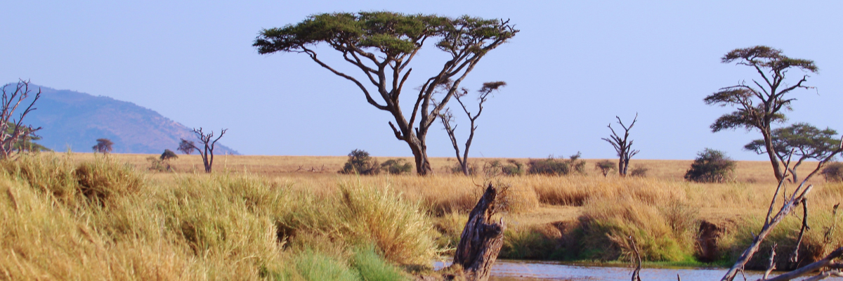 Tanzania