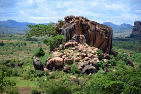 UGANDA: Why you need to visit the pearl of Africa in 2022