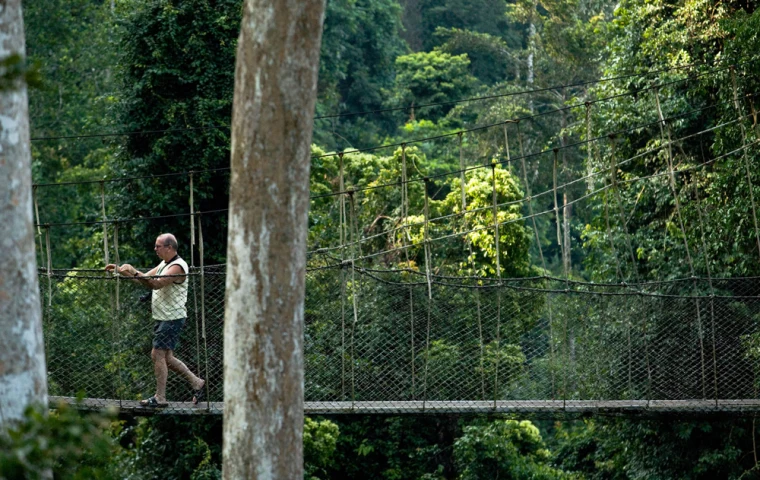 Ghana’s Unique Wildlife: From Forest Elephants to Treetop Canopies