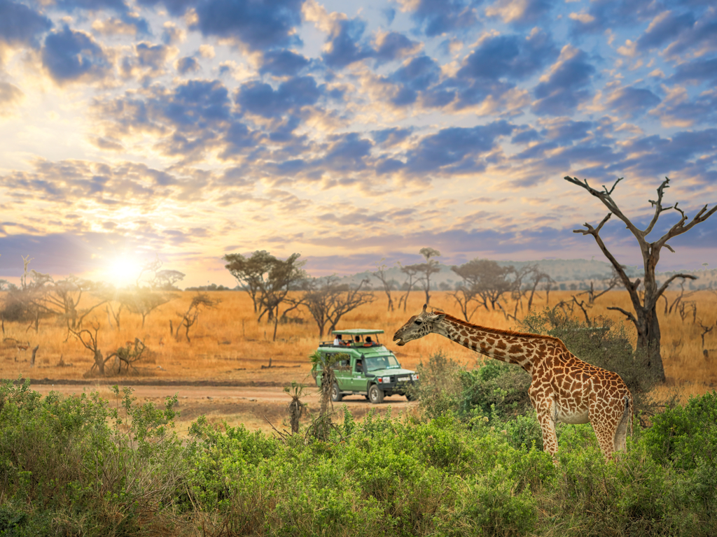 Tanzania’s Serengeti: An Unforgettable Safari Experience