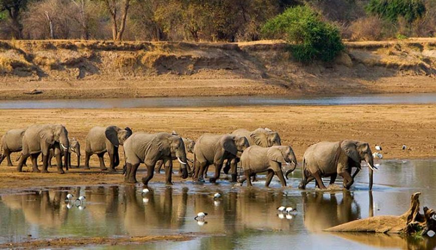 Zambia: Exploring the Rich Wildlife and Stunning Landscapes of Southern Africa