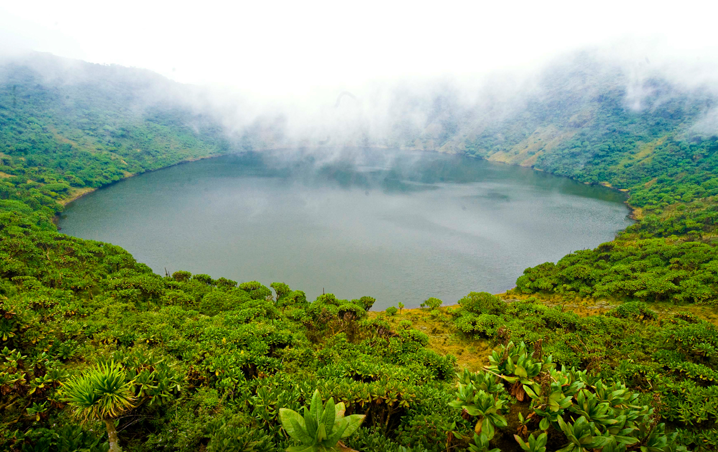 Discovering Rwanda’s National Parks: Volcanoes, Rainforests, and More