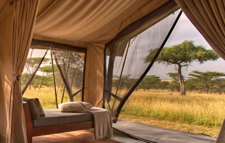 LUXURY KENYA & LIVINGSTONE