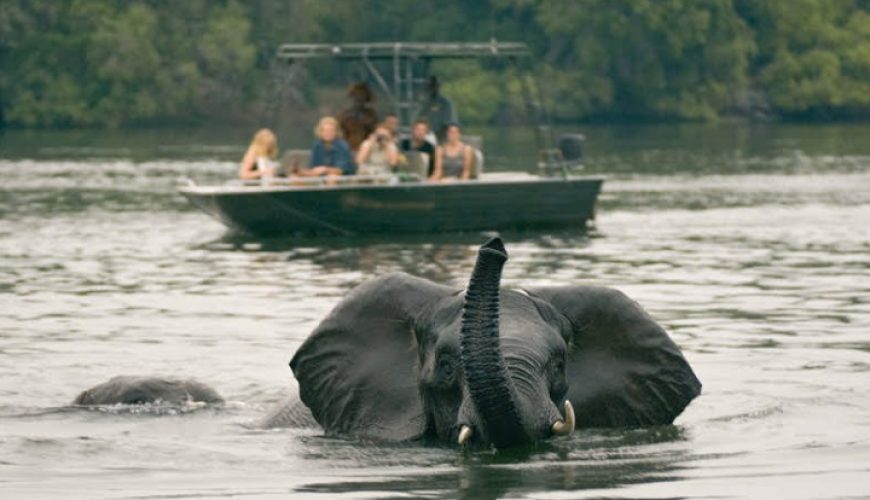 Exploring the Zambezi River: A Guide to River Cruises and Water Activities in Zambia