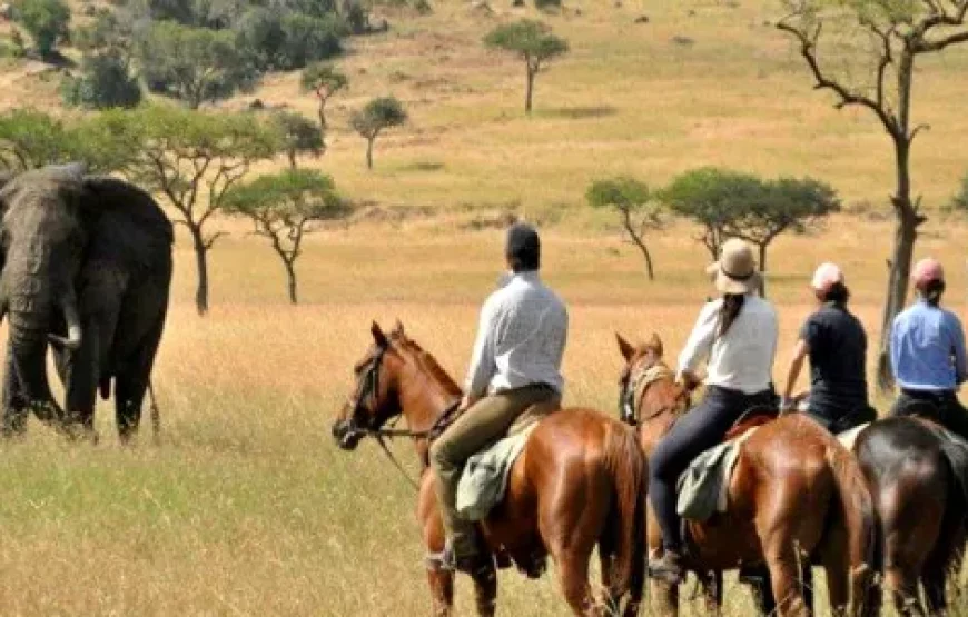 MASAI MARA HORSE-RIDING SAFARI