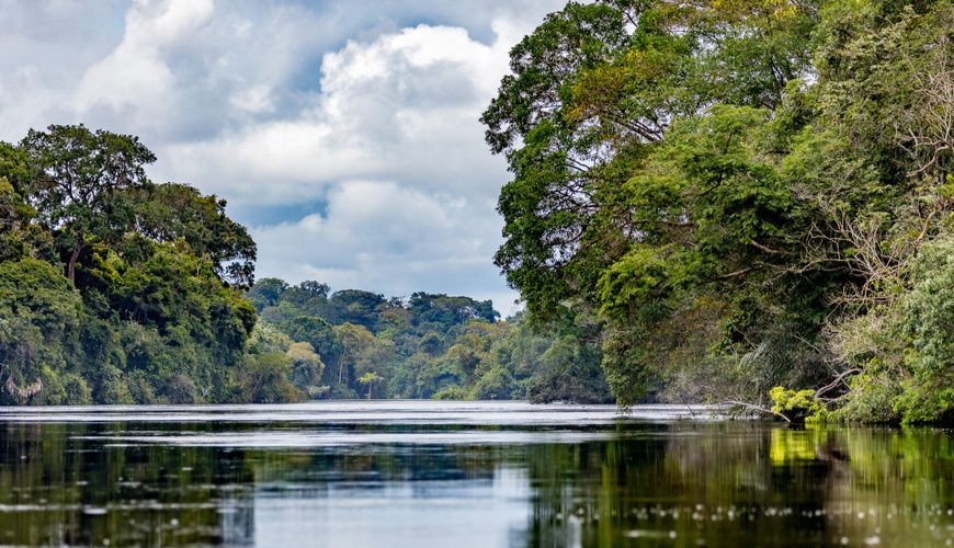 Ecotourism in Gabon: Exploring the Country’s Natural Beauty