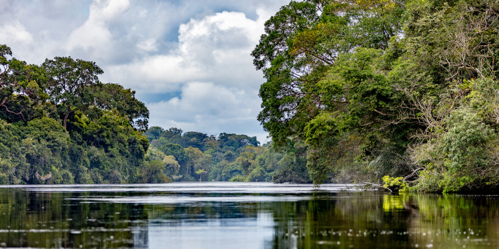 Ecotourism in Gabon: Exploring the Country’s Natural Beauty