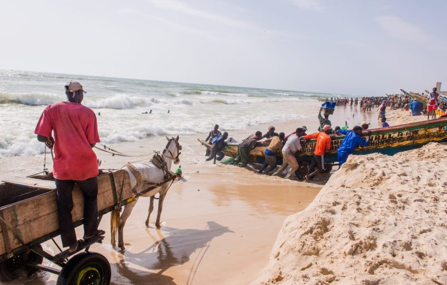 Essential Senegal