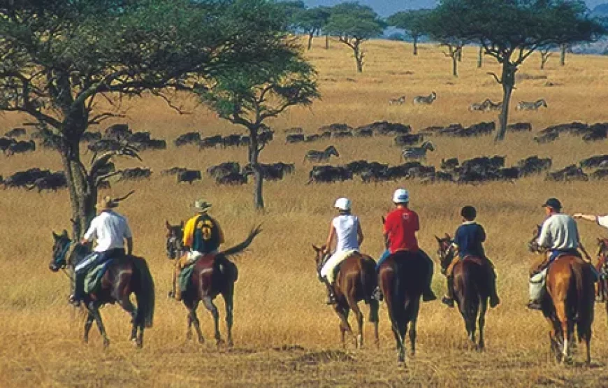 MASAI MARA HORSE-RIDING SAFARI