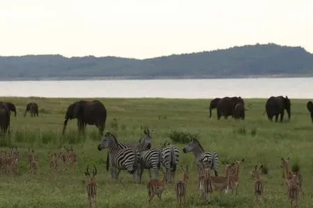 Zimbabwe’s Matobos, Hwande, falls & Kariba