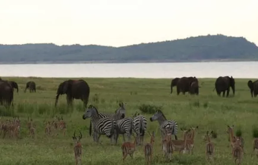 Zimbabwe’s Matobos, Hwande, falls & Kariba