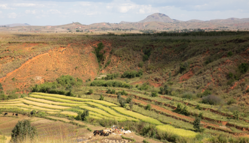 Experiencing the Cultural Riches of Madagascar