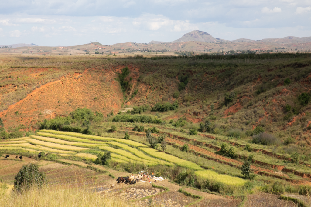 Experiencing the Cultural Riches of Madagascar