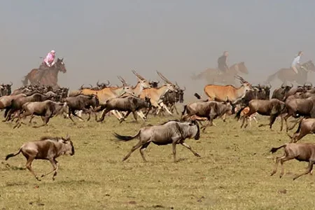 MASAI MARA HORSE-RIDING SAFARI