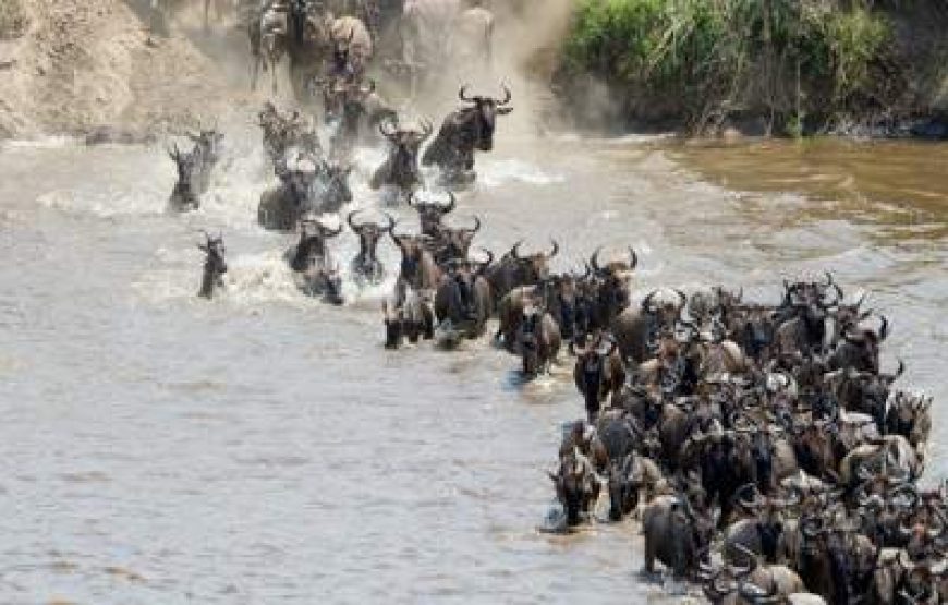 8-Day Tanzania Safari – Wildebeest Migration