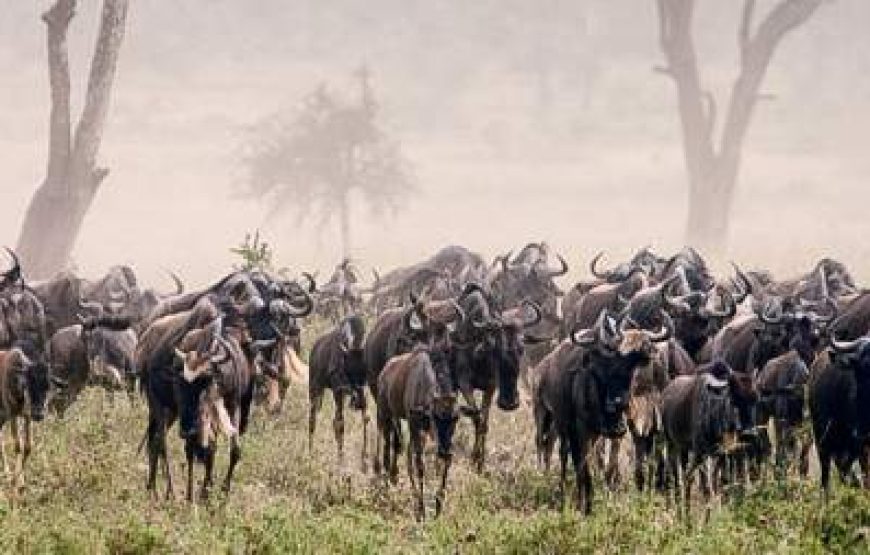 6-Day Tanzania Classic Luxury Safari