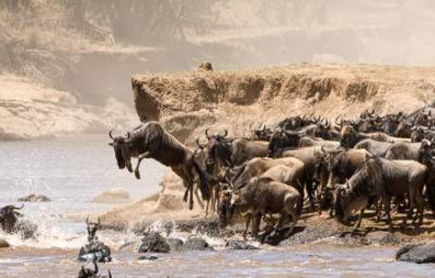 7-Day Tanzania Lodge Safari with Lake Natron