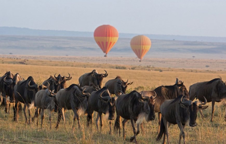 7-Day Safari to See Great Migration in Lake Ndutu