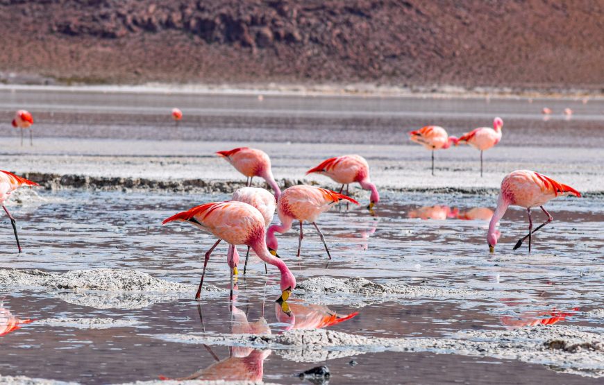 3-Day Tarangire, Ngorongoro and Lake Manyara Safari