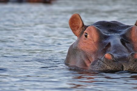 2-Day Manyara and Ngorongoro Crater