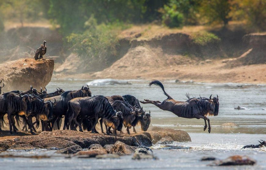 3-Day Ngorongoro Crater & Serengeti NP Camping Tour