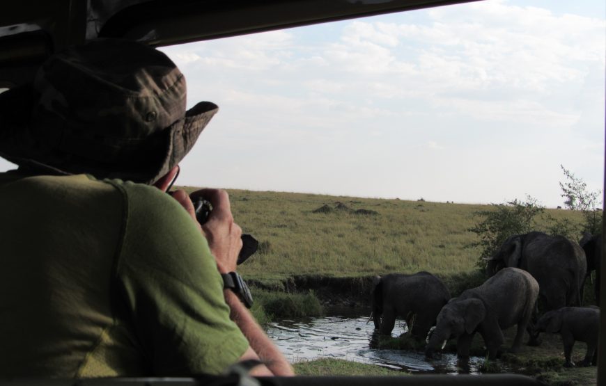 5 Days Tanzania Budget Safari With 2 Nights in Serengeti